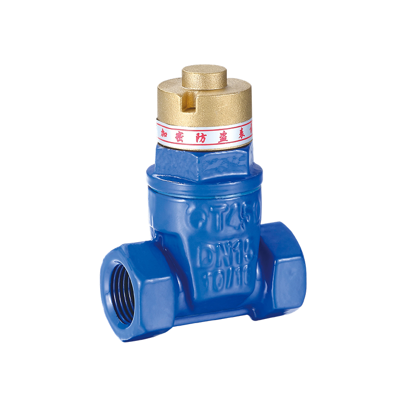 Válvula de compuerta de sellado de hierro fundido nodular antirrobo magnética YH-1002