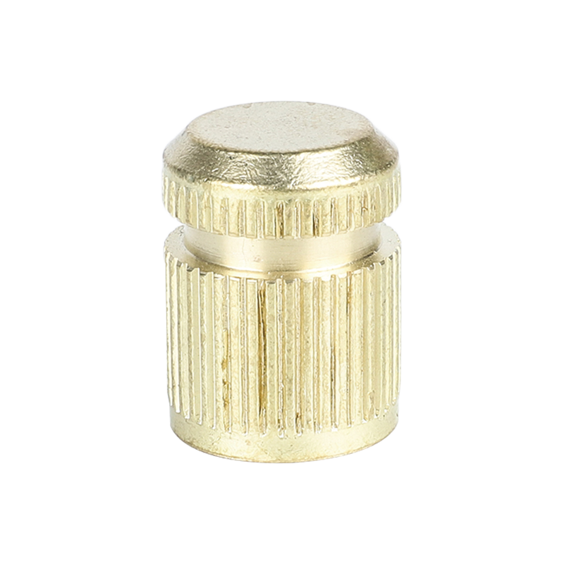 Conector de manguera