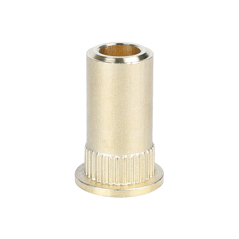 Conector de manguera